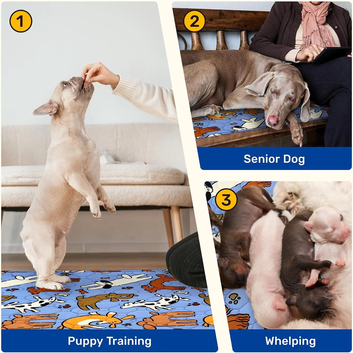 Large Dog Pee Pads, 2 Pack Washable Reusable Training Pads for Medium &Senior Dogs, Waterproof Heavy Absorbent Non-Slip Pet Mats for Crates Beds & Cars, Machine Washable for Potty Training & Whelping
