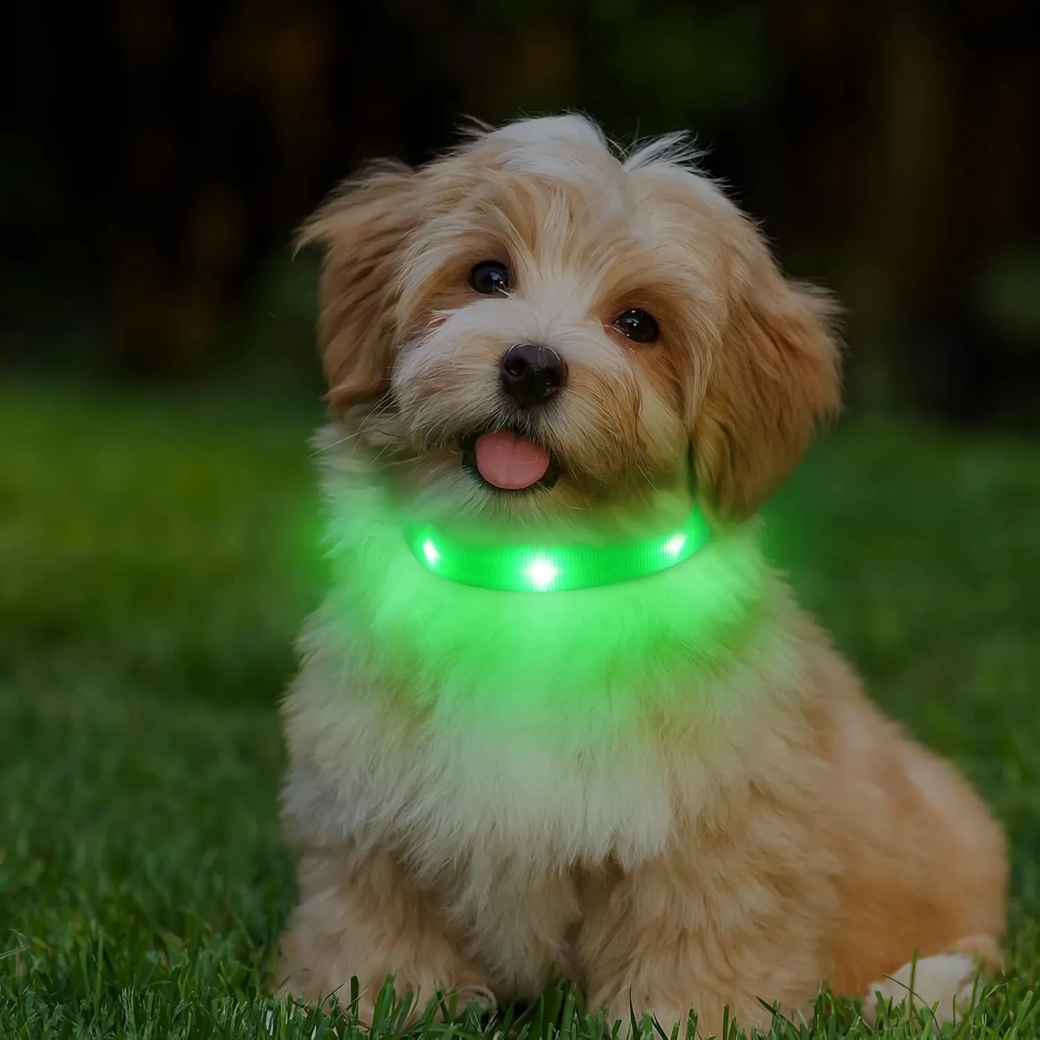 Led Dog Collar, USB Rechargeable Light Up Dog Collars for Small Dogs&Large Cats, Glowing Pet Dog Collar for Night Safety Water Resistant Lighted Puppy Collar (Green, 9-12.6 Inches)