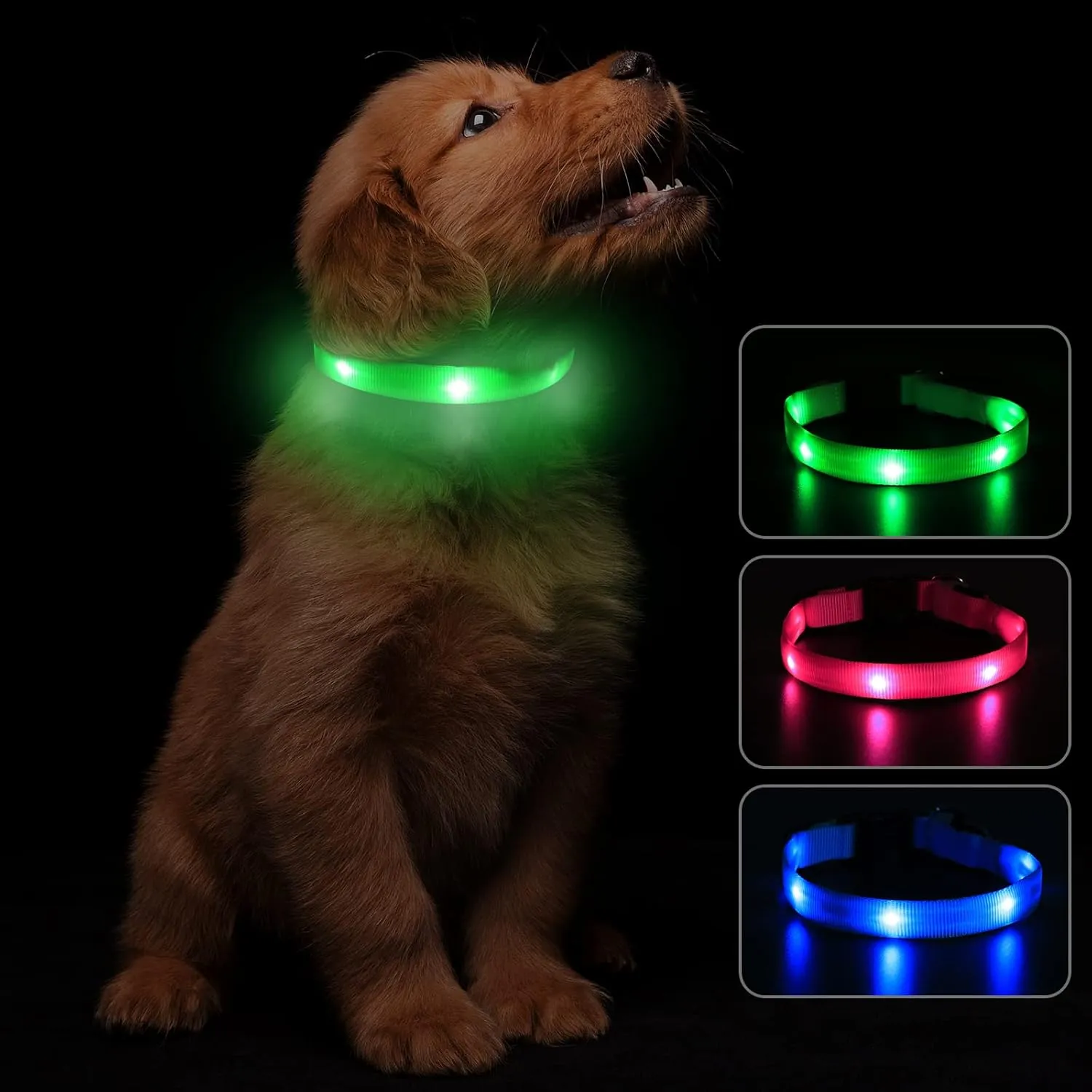 Led Dog Collar, USB Rechargeable Light Up Dog Collars for Small Dogs&Large Cats, Glowing Pet Dog Collar for Night Safety Water Resistant Lighted Puppy Collar (Green, 9-12.6 Inches)