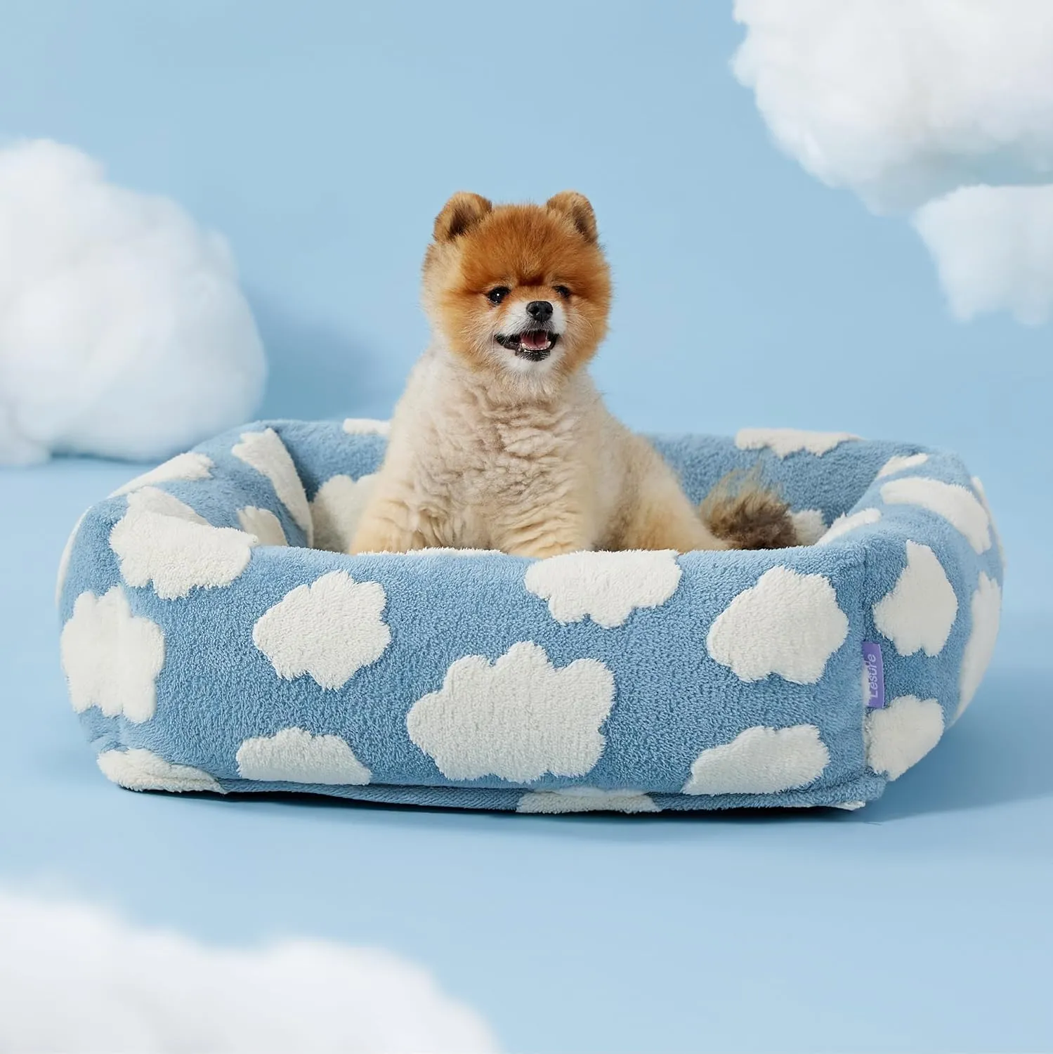 Lesure Cute Dog Bed for Small Dogs - Washable Puppy Beds,Cozy Rectangle Orthopedic Pet Sofa with Jacquard Shaggy Plush & Anti Slip Bottom,25x21x7inches