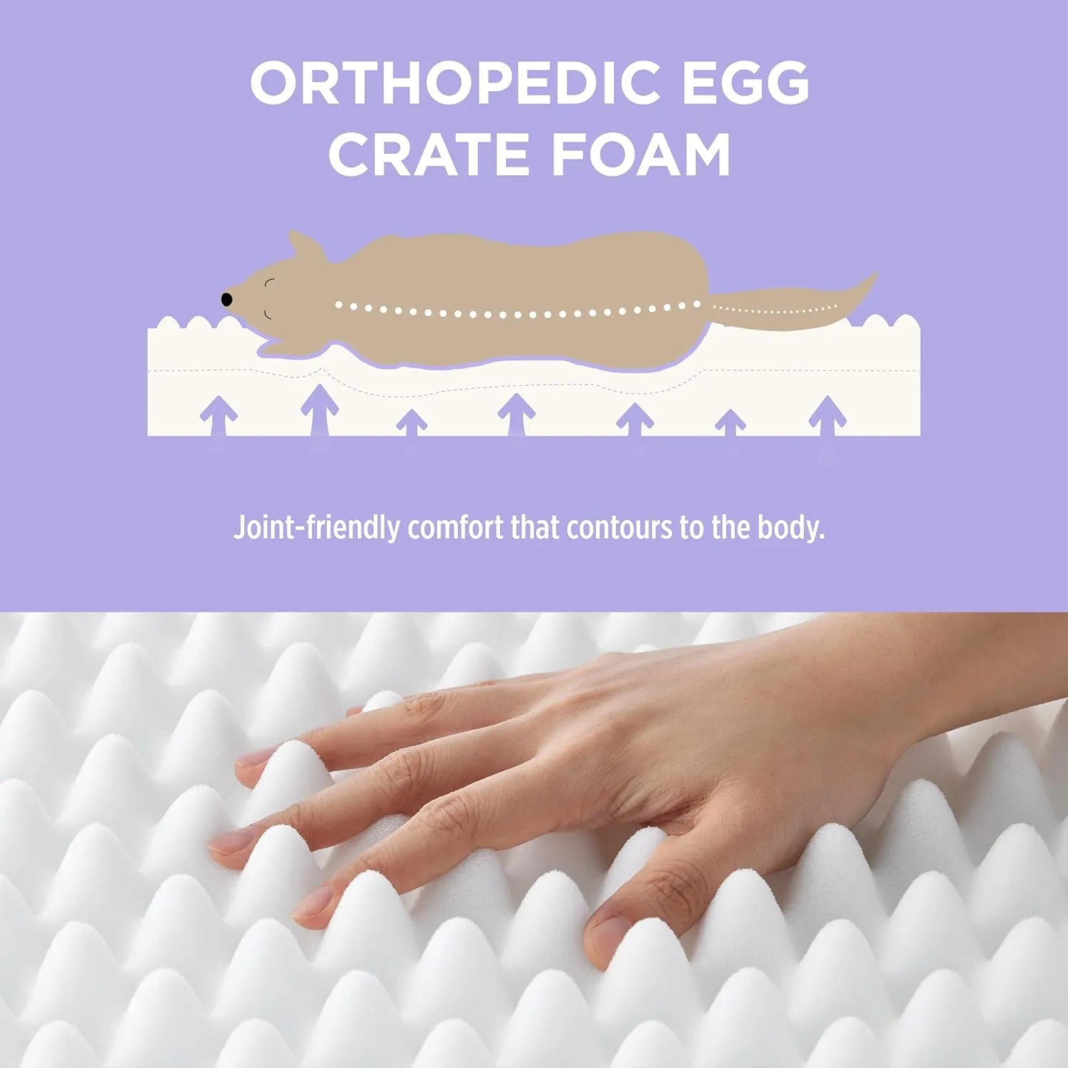 Lesure Cute Orthopedic Dog Bed Large Sized Dog, Waterproof Chic Flat Pet Beds with Removable Washable Cover, Fuzzy Thick Egg Crate Foam Pet Mat for Indoor Use (36" x 27", Cream)
