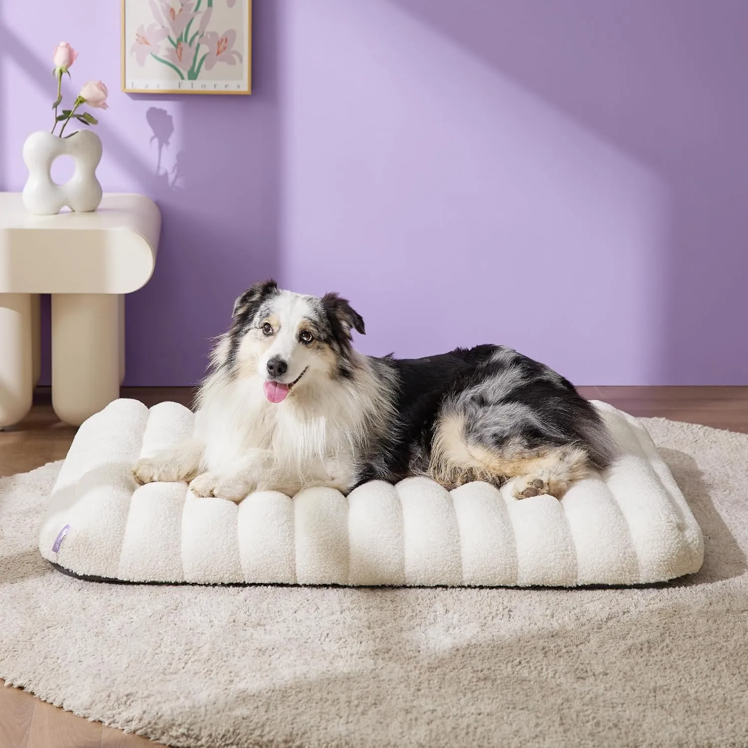Lesure Cute Orthopedic Dog Bed Large Sized Dog, Waterproof Chic Flat Pet Beds with Removable Washable Cover, Fuzzy Thick Egg Crate Foam Pet Mat for Indoor Use (36" x 27", Cream)