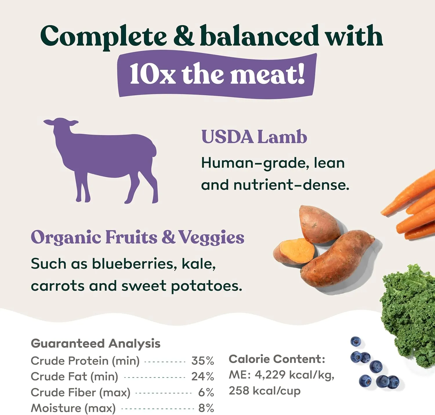 Little Hunter Freeze Dried Lamb Recipe - Picky Eater-Approved Limited Ingredient Dog Food for All Stages - High Protein, Small Batch, Grain Free Raw Dog Food, 15 oz