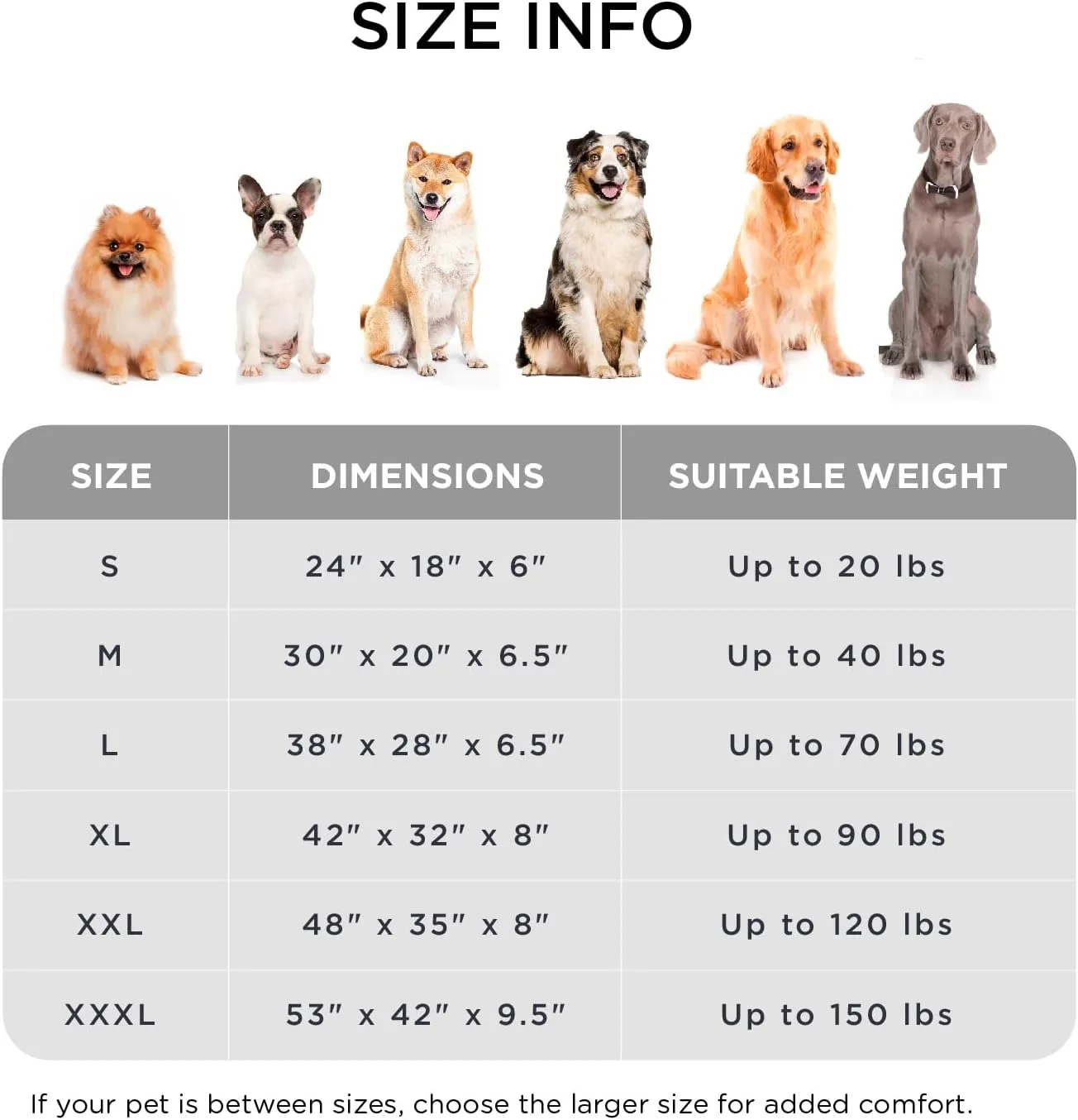 Made4Pets Orthopedic Dog Bed for Small Dogs, Supportive Foam Small Pet Bed Sofa with Washable Removable Cover, Waterproof Dog Couch Bed, Non-Slip Bottom and Egg-Crate Foam, Grey