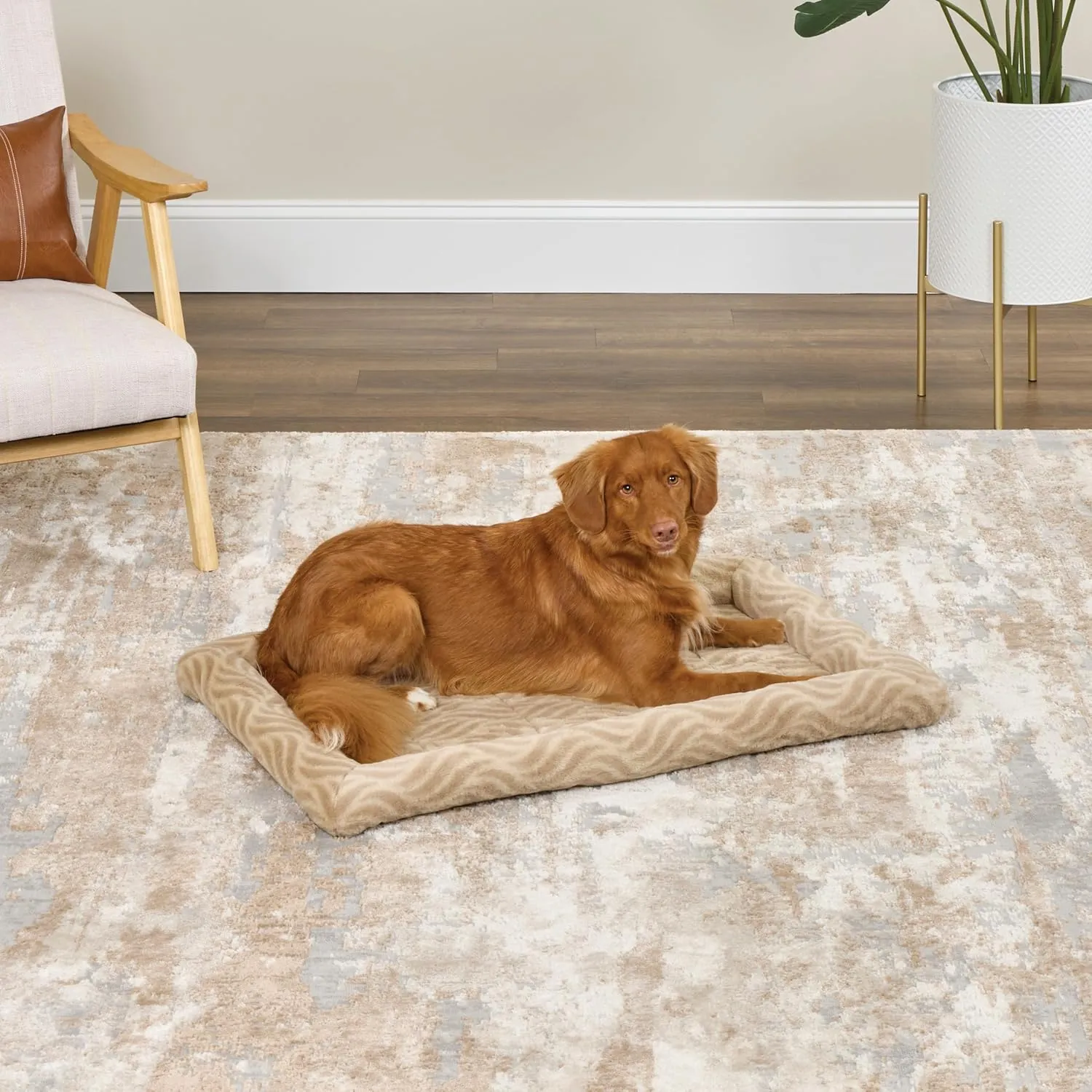 MidWest Homes for Pets QuiteTime Deluxe Wave Bolster Bed for Intermediate Dogs; Easily Machine Wash and Dry; Tan; 36"; 40236-WVTN