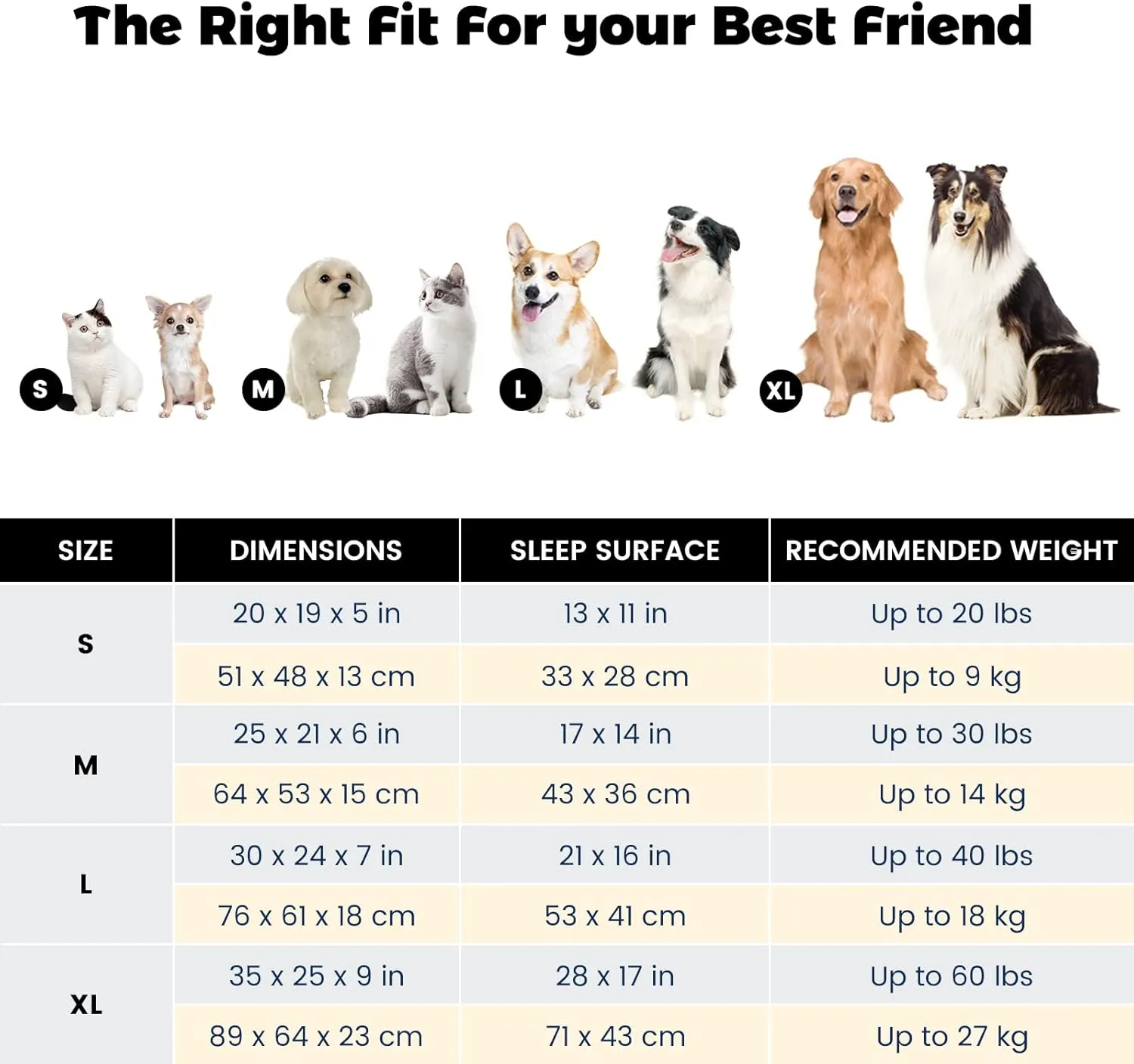 Miguel Washable Cat Beds - Indoor Cats, Removable Cushion, Small Dog Bed, Anti-Slip Bottom, Cuddle Puppy, Blue 20 Inch