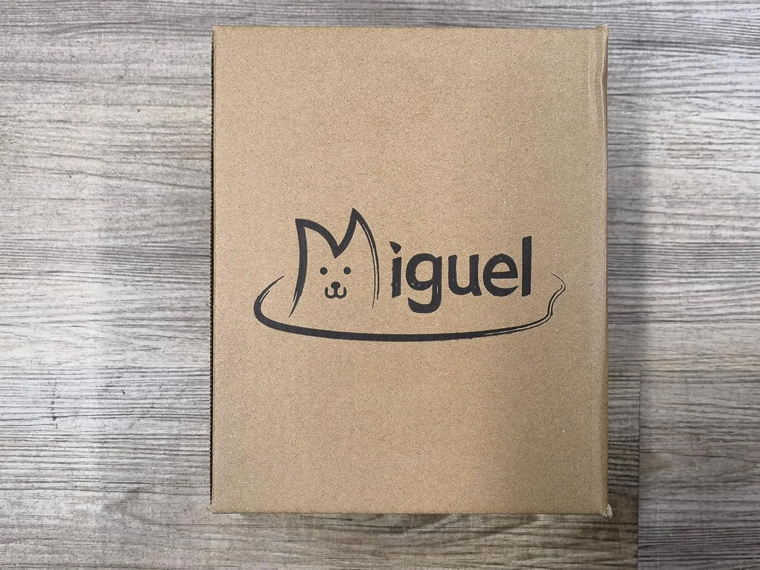 Miguel Washable Cat Beds - Indoor Cats, Removable Cushion, Small Dog Bed, Anti-Slip Bottom, Cuddle Puppy, Blue 20 Inch