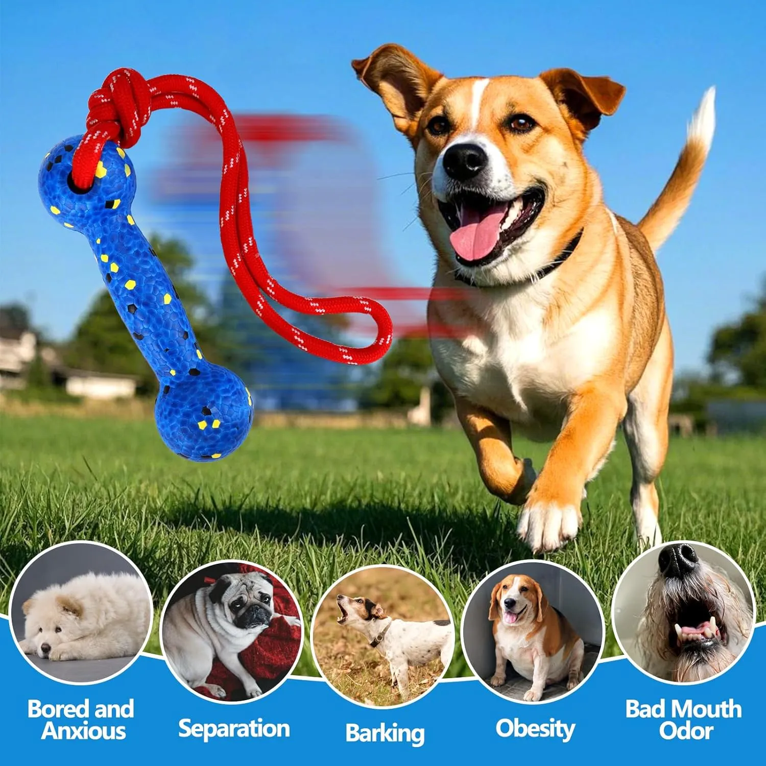 Mity rain Floating Dog Toys E-TPU Water Pool Fetching Toy with Rope for Small Medium Large Pet, Bumper Shape Indestructible Interactive Dog Chew Toys for Summer Outdoor Training Fun (Yellow Blue)