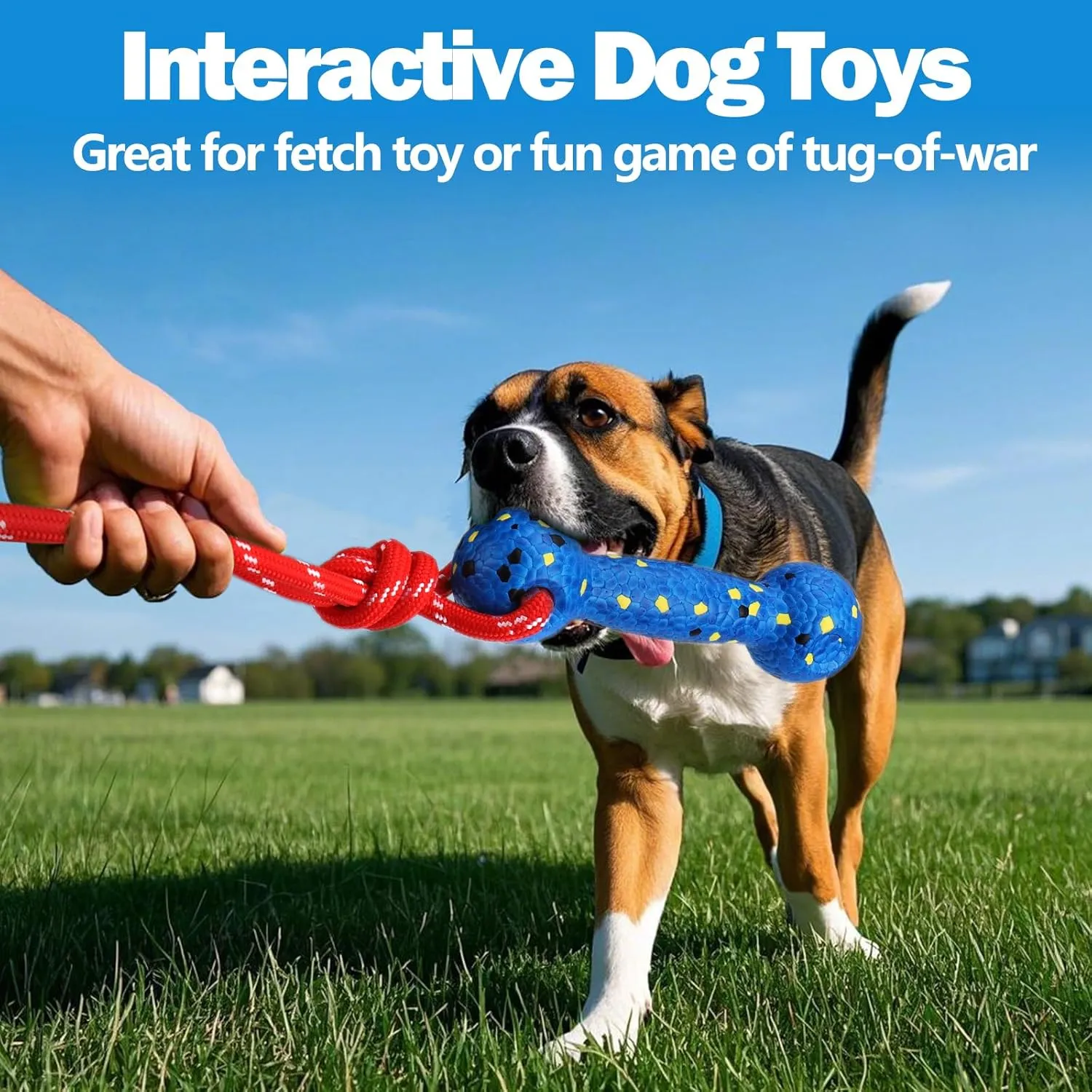 Mity rain Floating Dog Toys E-TPU Water Pool Fetching Toy with Rope for Small Medium Large Pet, Bumper Shape Indestructible Interactive Dog Chew Toys for Summer Outdoor Training Fun (Yellow Blue)