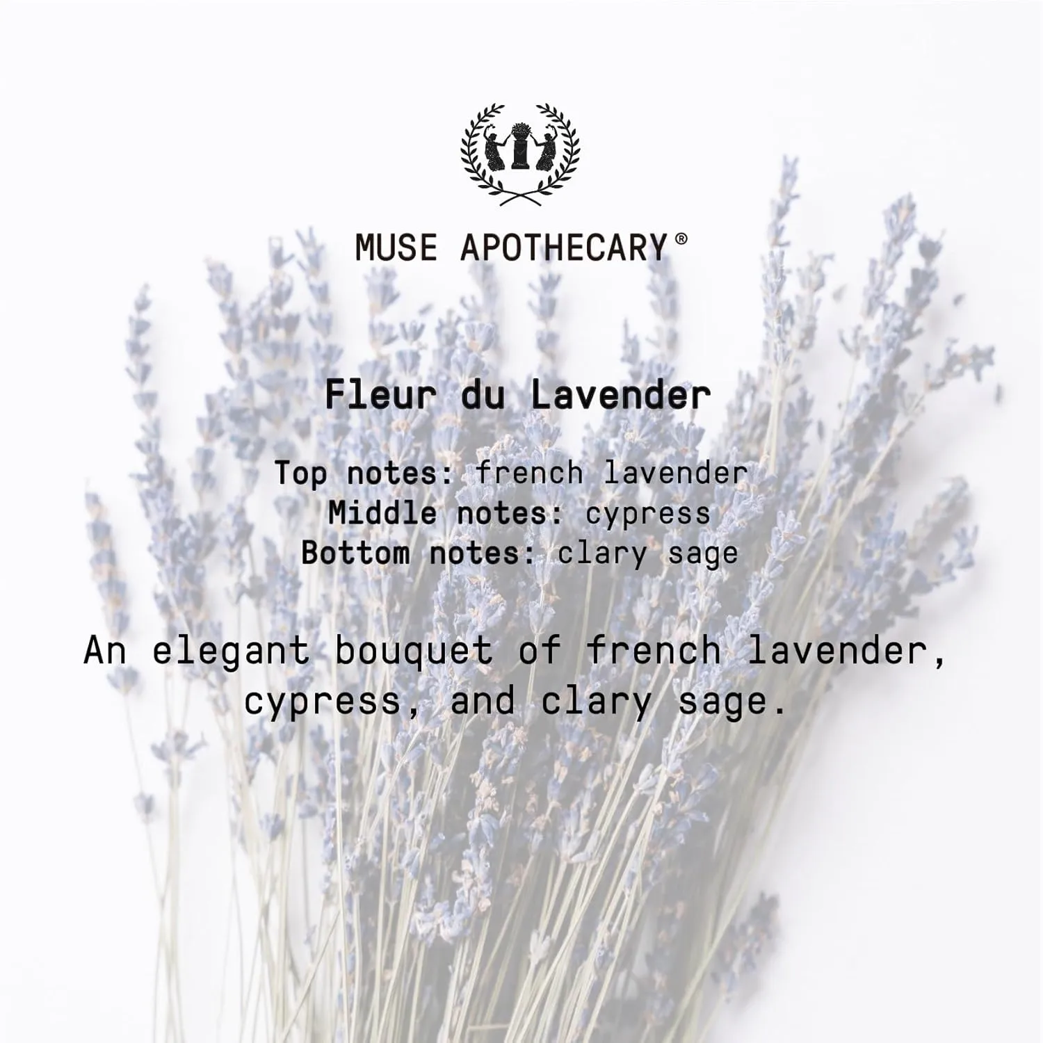 Muse Apothecary Pillow Ritual - Aromatic, Calming and Relaxing Pillow Mist, Linen and Fabric Spray - Infused with Natural Aromatherapy Essential Oils - 4 oz, Fleur du Lavender