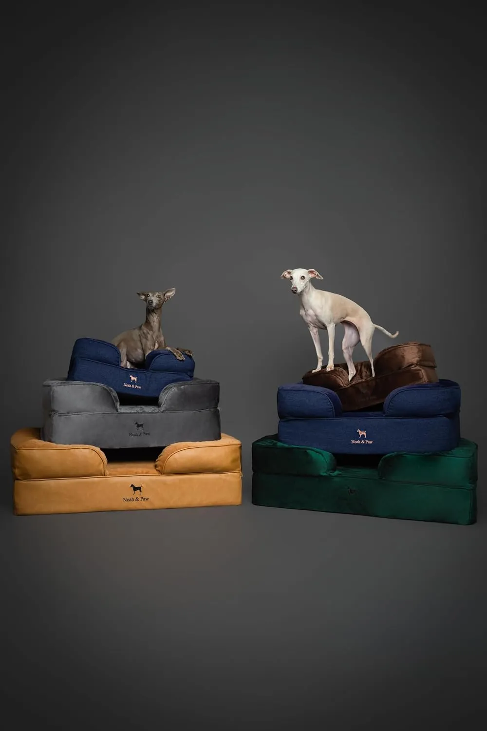 NOAH & PAW Large Dog Bed, 35x25x11 Inch, Orthopedic Dog Beds, Eggshell Memory Foam Infused with Cooling Gel, Inner Cover, Waterproof, Machine Washable (Velvet Sofa Collection)