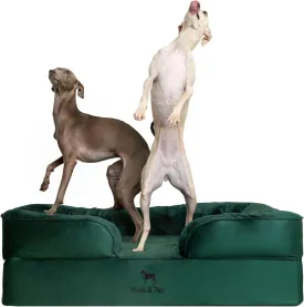 NOAH & PAW Large Dog Bed, 35x25x11 Inch, Orthopedic Dog Beds, Eggshell Memory Foam Infused with Cooling Gel, Inner Cover, Waterproof, Machine Washable (Velvet Sofa Collection)