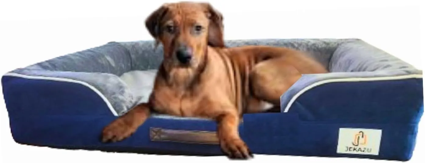 Orthopedic Dog Bed for Medium to Large Dogs - Waterproof, Memory Foam Dog Bed with Washable Cover - Pet Beds for Medium-Large Sized Breeds and Senior Pets - Non-Slip Bottom - Large, Blue & Grey