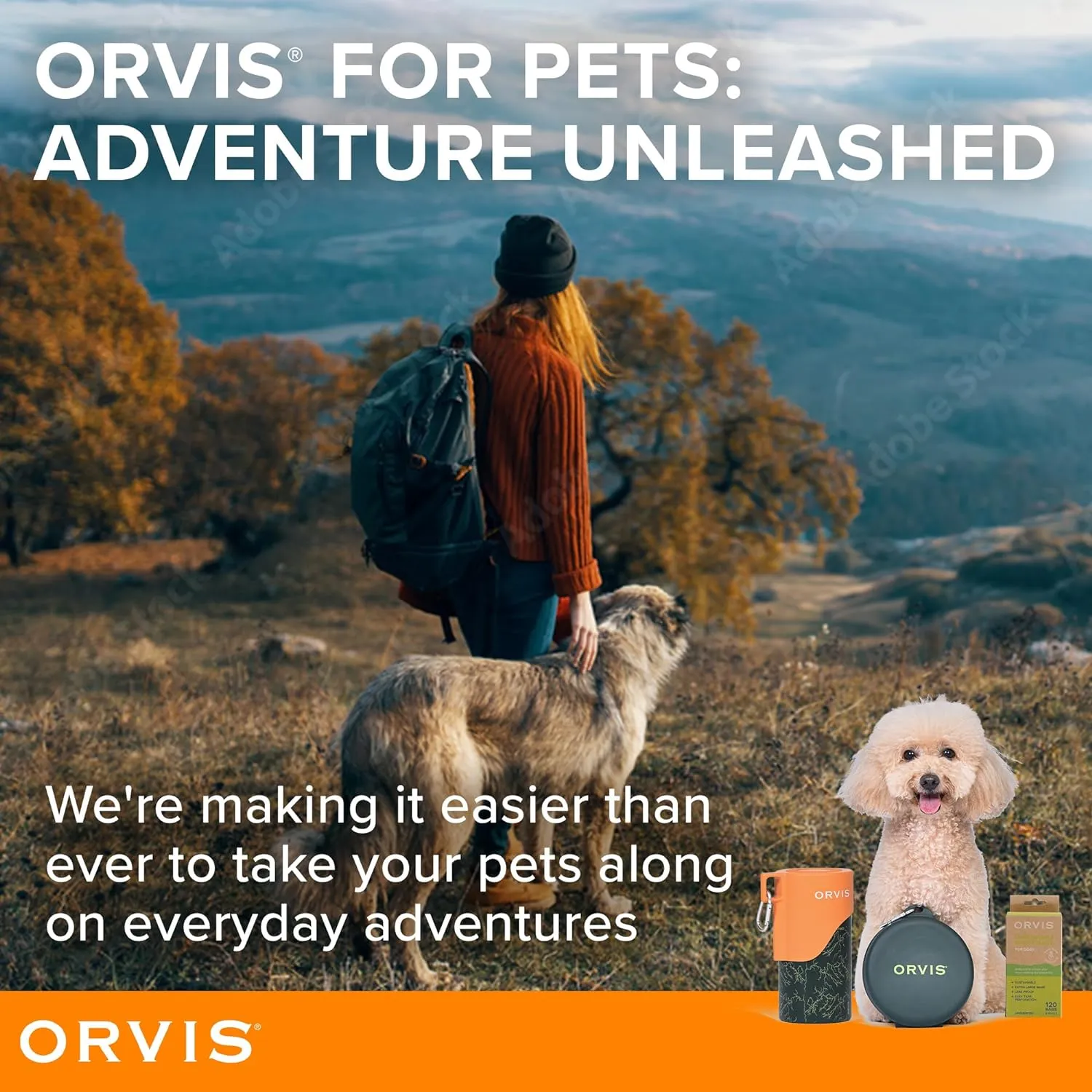 Orvis Pet Travel Collapsible Feeder with Food   Water Dish, 2-in-1, BPA Free, Food-Grade Silicone | Space-Saving Pet Travel Bowls, Nonslip Bottom   Carabiner Clip