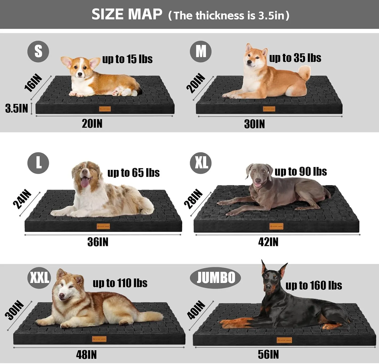 Patas Lague Orthopedic Dog Bed for Large Dogs, Waterproof Soft Warm Comfortable Egg Crate Foam Medium Pet Beds Mat with Removable Washable Cover and Nonskid Bottom, 36''X24'' Black
