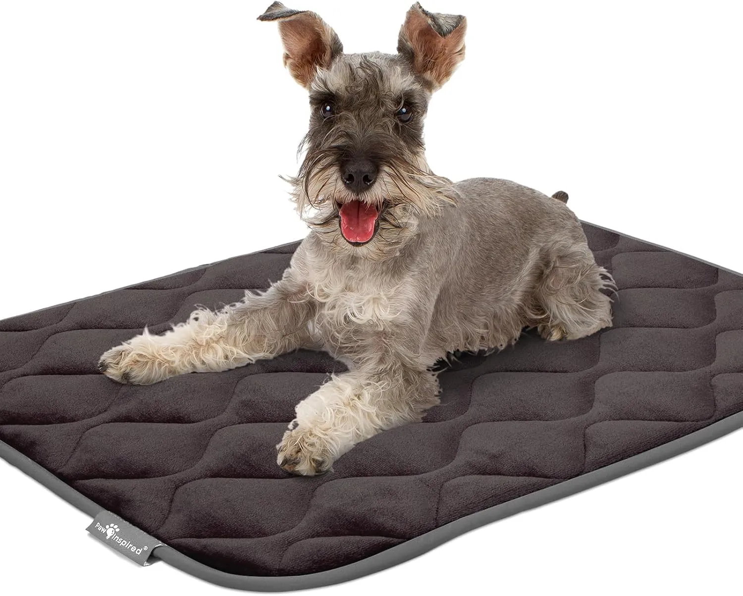 Paw Inspired Washable Padded Crate Mats for Dogs | 35 x 22 Pad, Fits 36-inch Kennels | Leakproof, Plush Pet Beds (Gray)