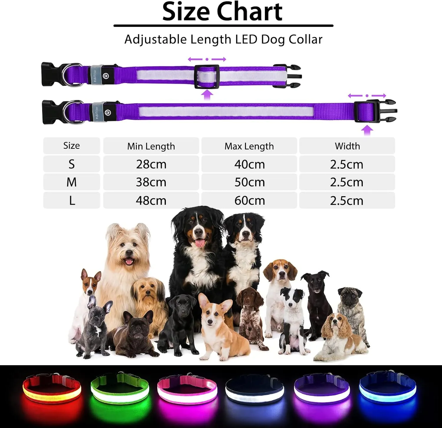 PCEoTllar Light Up Collar - Rechargeable LED Dog Collar with Automatic 7-Color Changes, Water Resistant, Bright Glow for Night Walking (Purple, S)