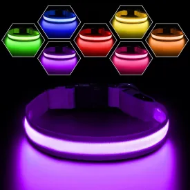 PCEoTllar Light Up Collar - Rechargeable LED Dog Collar with Automatic 7-Color Changes, Water Resistant, Bright Glow for Night Walking (Purple, S)