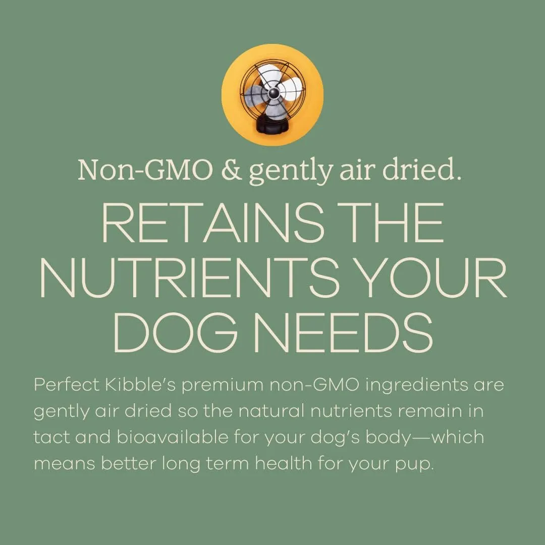 Perfect Kibble Non-GMO Air Dried Dog Food | Improves Allergies & Digestion with Organic Coconut Oil, MCTs & Antioxidants | Vet-Approved Soft Dry Diet | Made in USA (Beef 14 oz.)