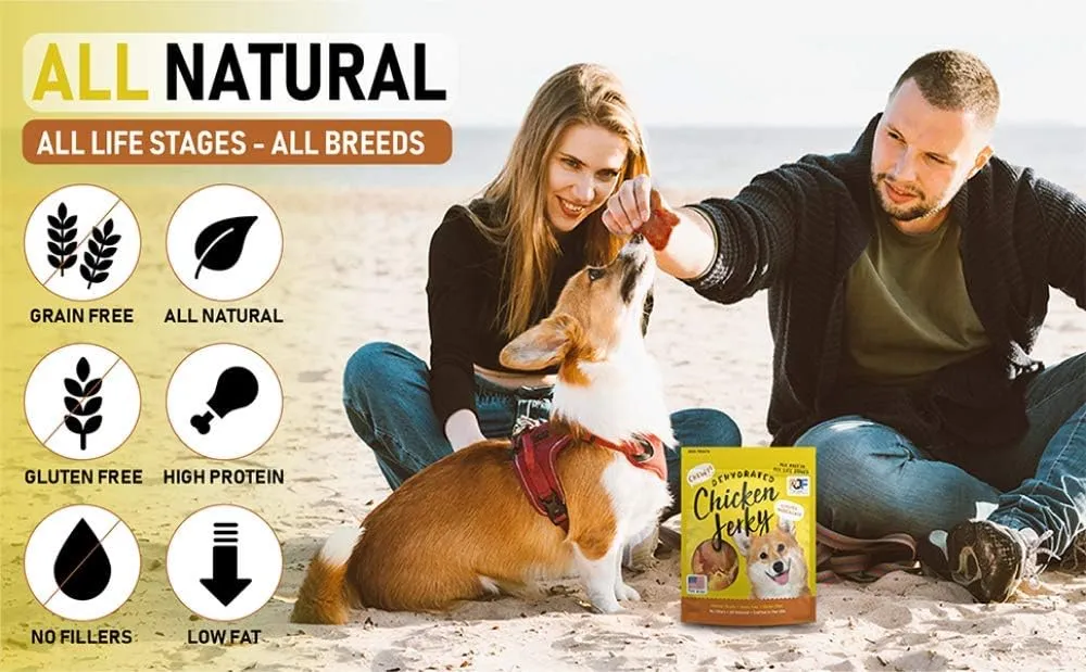Pet Jerky Factory Premium Whole Muscle Chicken 12 oz. Dog Jerky Treats | 100% Human Grade | USA Made | High Protein | Grain Free | Limited Ingredients | No Filler | BHA-BHT Free | Chewy Texture
