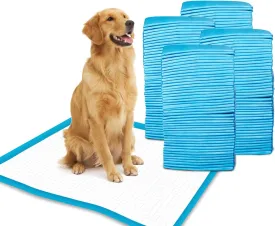 Petfamily Super-Absorbent 24 by 24 Inches Dog Training Pads - 100 Count of Pads