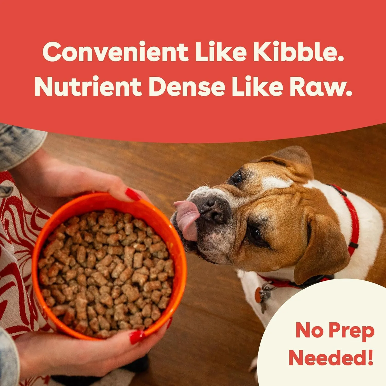Pupford Good Dog Food, Freeze-Dried Raw, High-Protein, Superfood Ingredients, Vet-Approved, No Fillers or Artificial Additives (Beef Recipe, 25 oz)