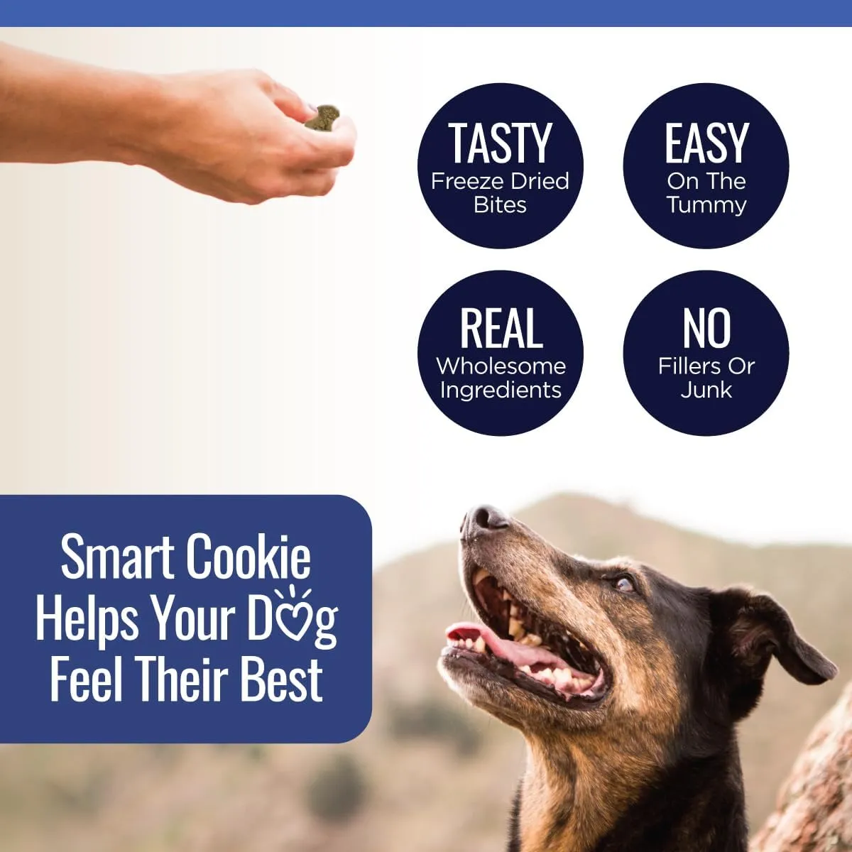Smart Cookie Freeze Dried Beef Liver Bites - Single Ingredient Beef Liver Dog Treats - Low Calorie Training Treats for Dogs - 2oz Bag, 1 Pack