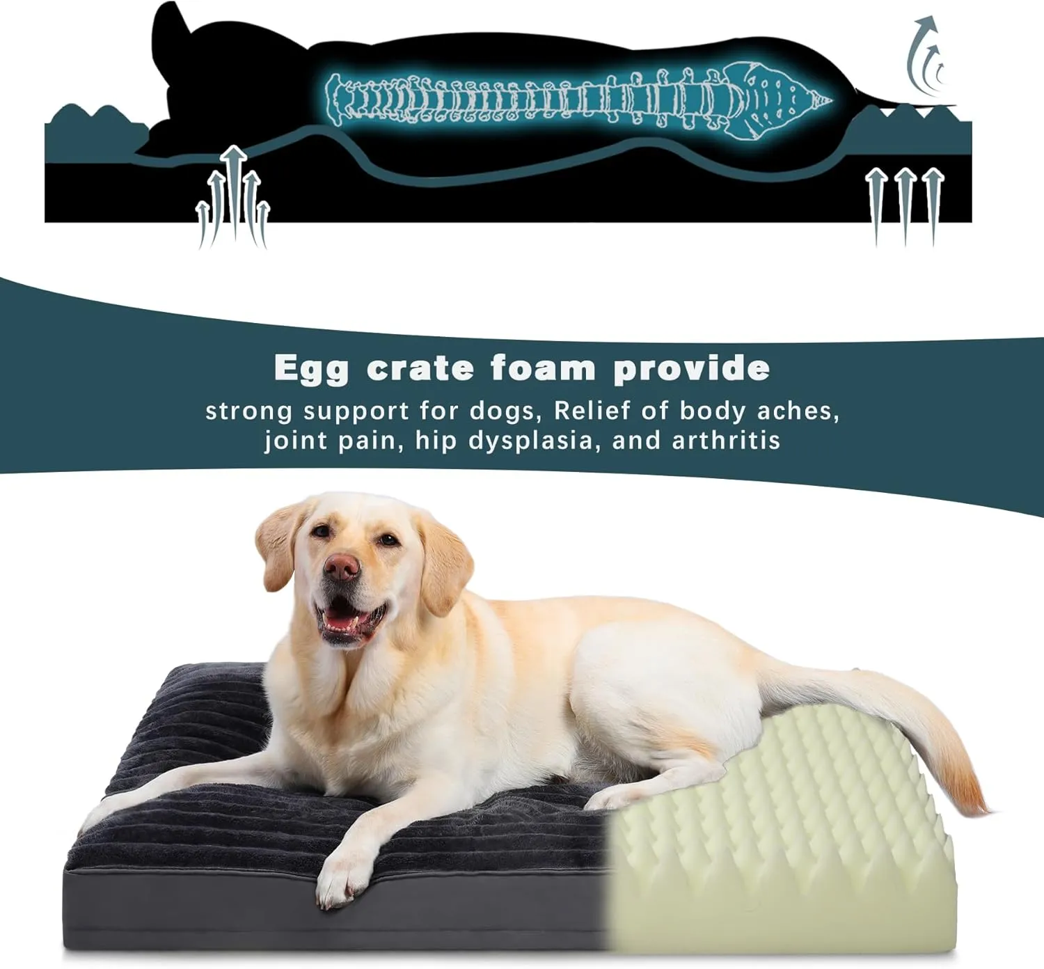 Vonabem Large Dog Bed Washable with Removable Cover Waterproof, Dog Crate Beds for XL Large Medium Small Dogs Cats, Soft Flannel Pet Beds Anti-Slip Kennel Pad 36 inch