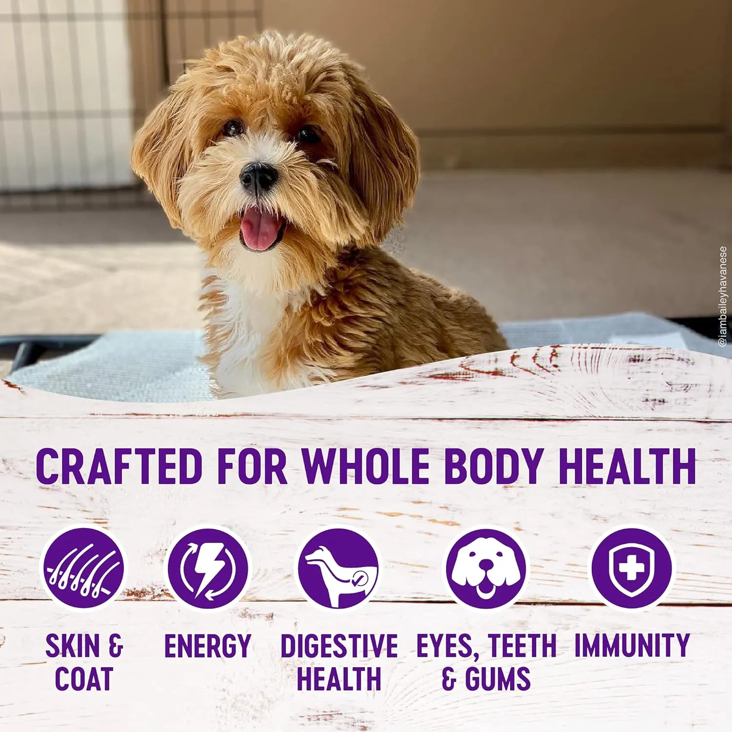 Whimzees Wellness Complete Health Small Breed Dry Dog Food, Turkey, Oatmeal & Salmon Meal, 4 Pound Bag Dental Chew Variety Container, Small, 56 Count